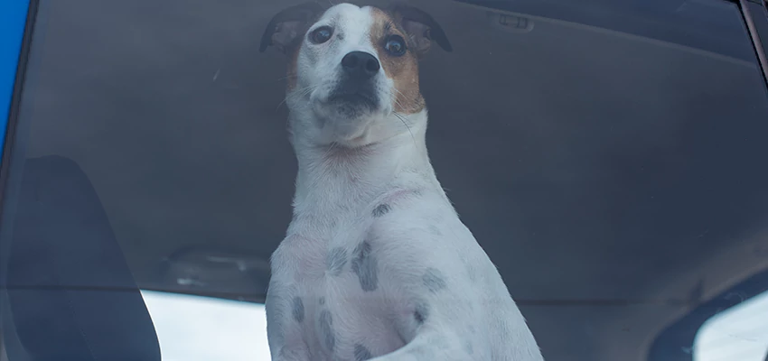 Car Lockout Solutions in South Oroville, California